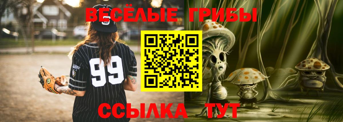 Галлюциногенные грибы Cubensis Карталы